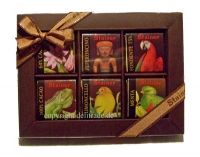 stainer-napo-geschenk